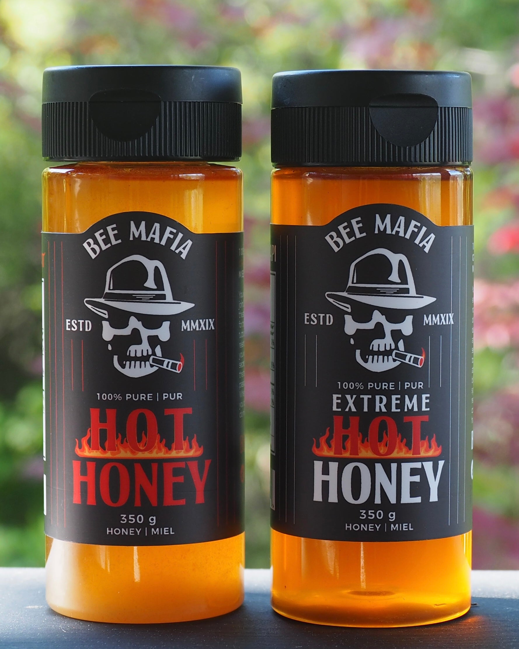 Pure Honey | Raw Honey | Hot Honey | Bee Mafia Honey Canada